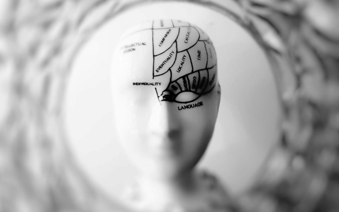 Votre cerveau se transforme en 5 phases. La dernière commence à 32 ans.