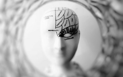 Votre cerveau se transforme en 5 phases. La dernière commence à 32 ans.
